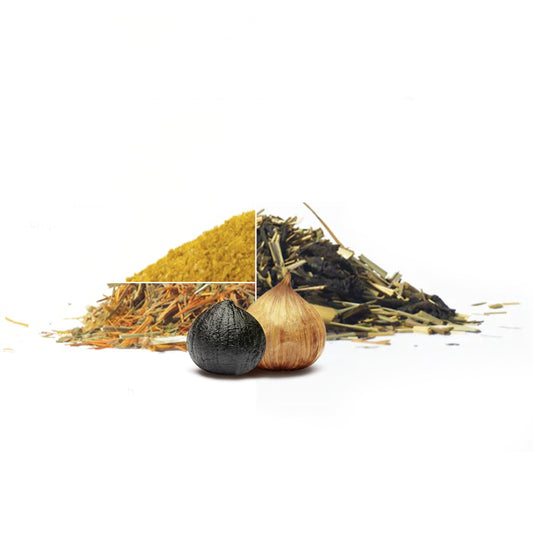Premium Healthy Living Gift Set – Black Garlic & Herbal Teas